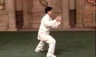 陈正雷老架一路教学 陈正雷老架一路教学